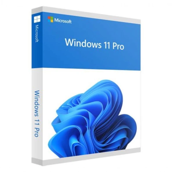 Windows 11 Professional OEM 64Bit DVD FQC-10528